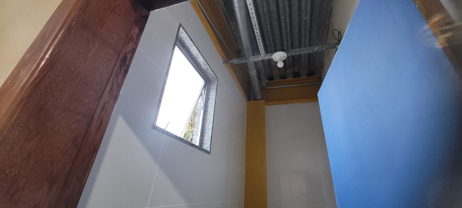 1245_11.jpg