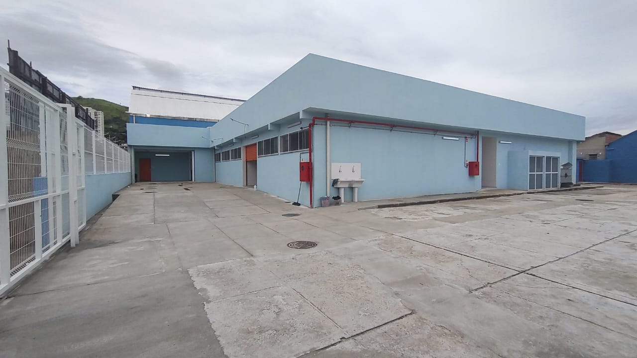 206_23.jpg