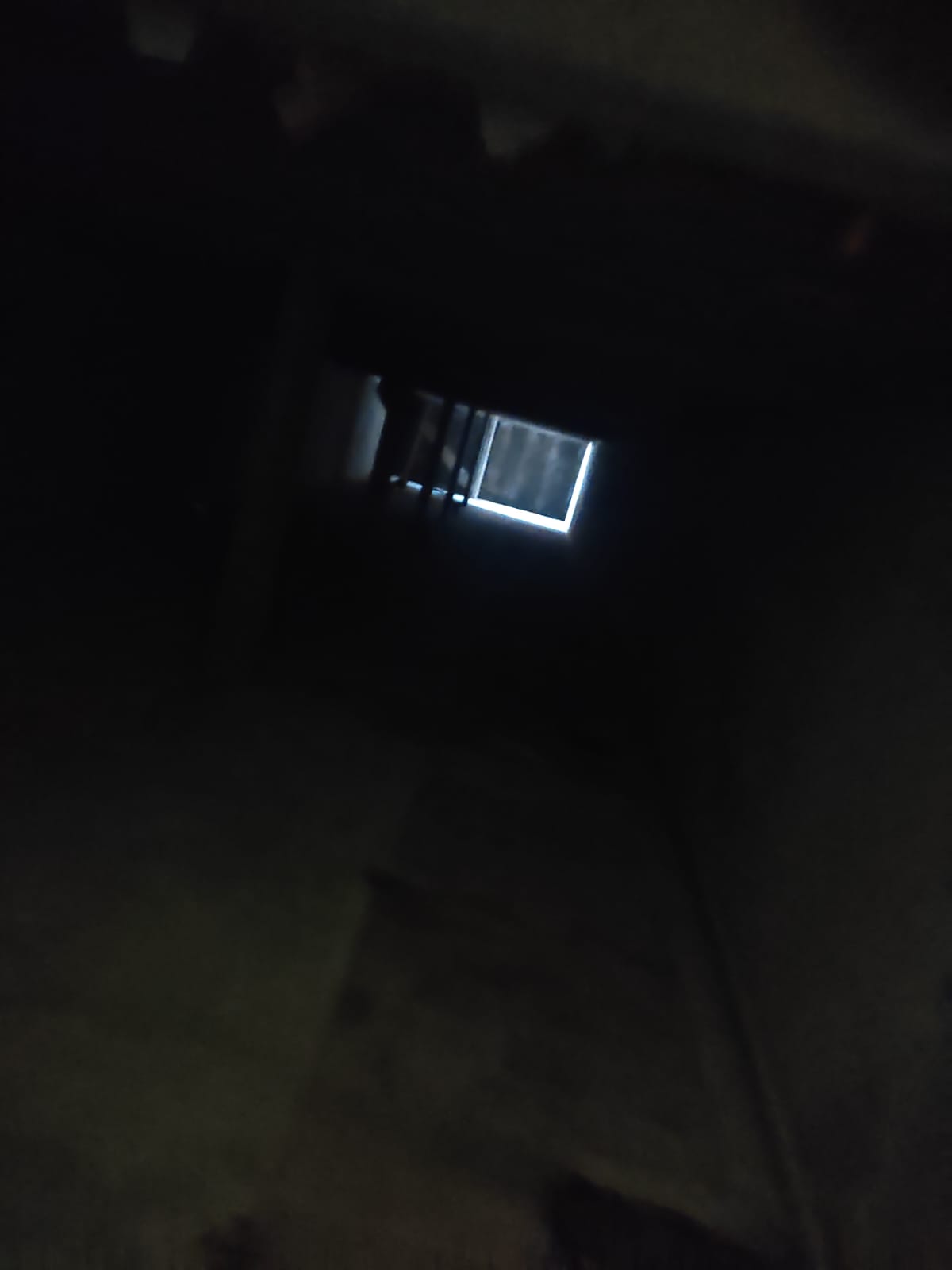 2995_7.jpg