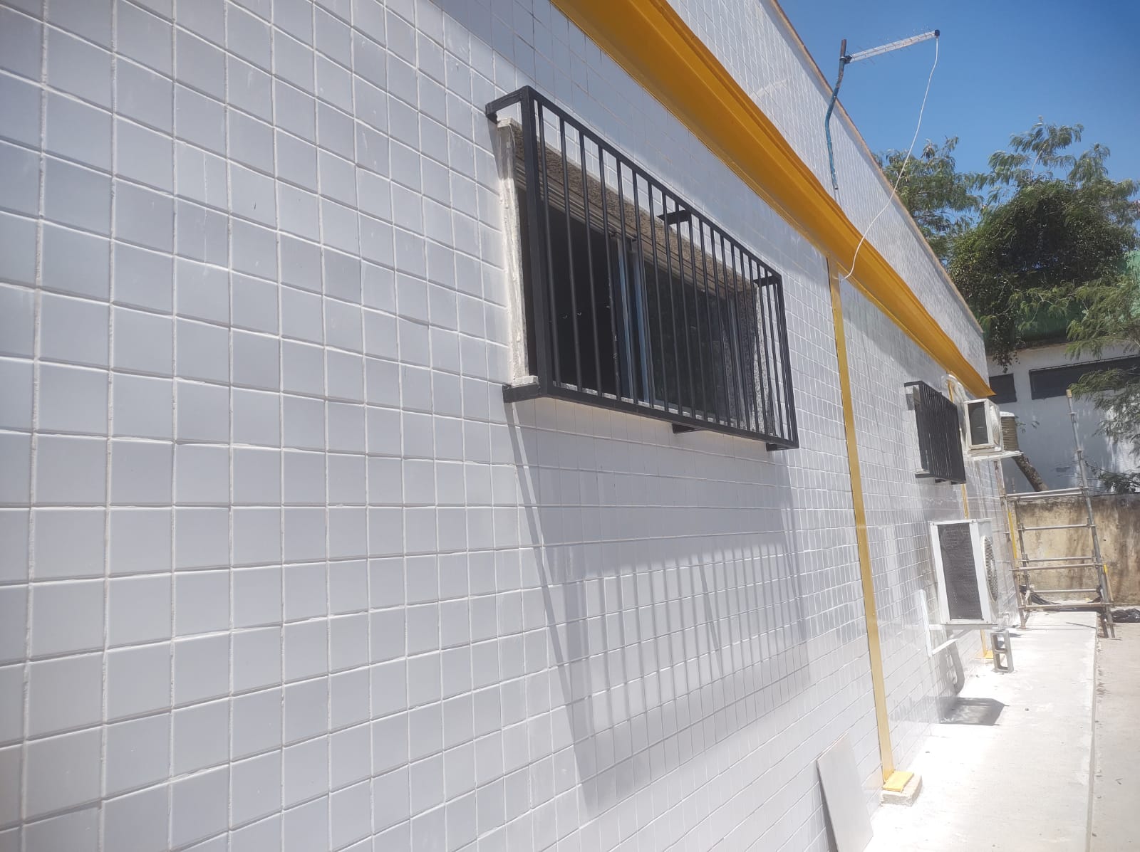 3119_6.jpg