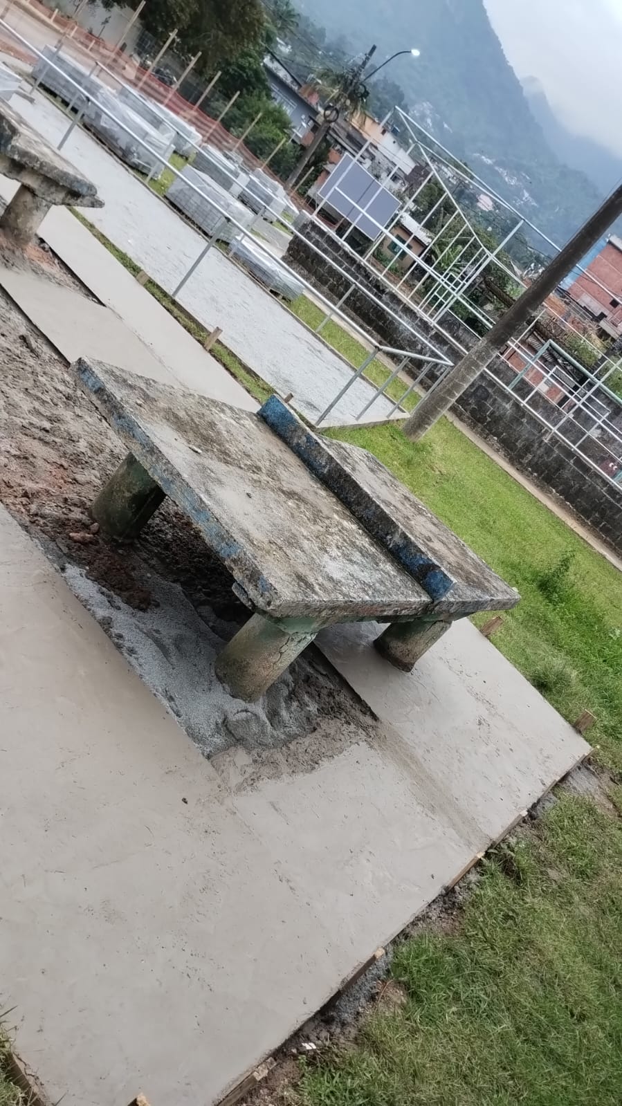 3772_7.jpeg